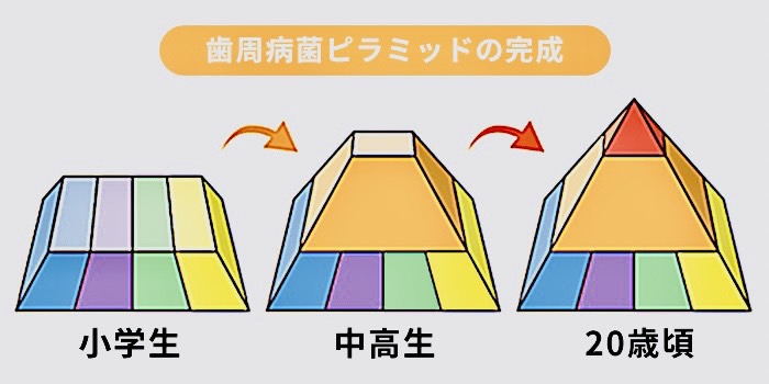 佐賀市の歯医者、池田歯科こども歯科の小児歯科