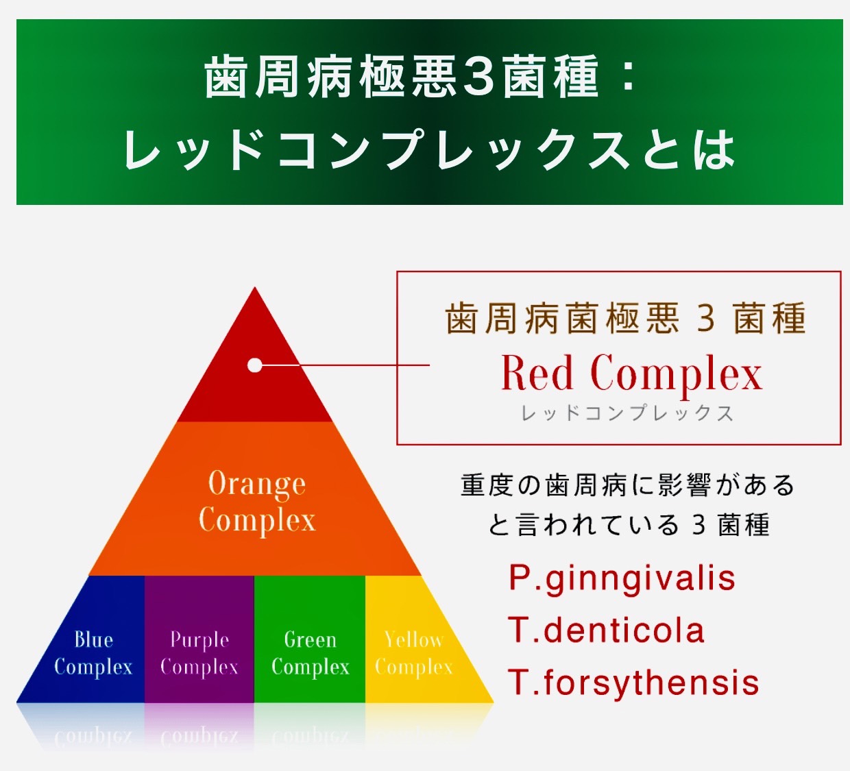 佐賀市の歯医者、池田歯科こども歯科で歯周病治療