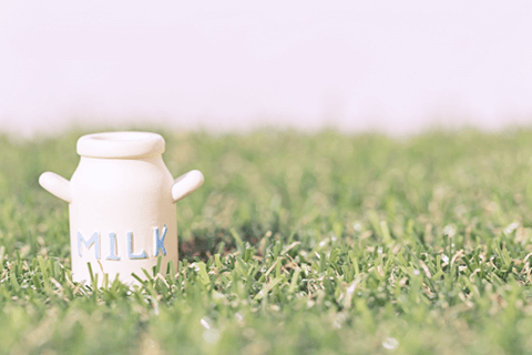 佐賀市の歯医者、池田歯科こども歯科のマタニティ歯科外来